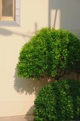 D8CBE432-FB95-4DA8-A891-4817383D3D09/L0/001