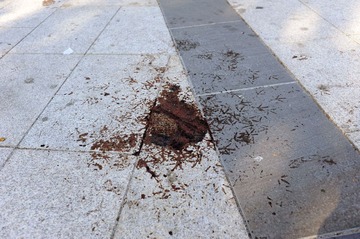 CSI Stuttgart