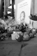 DSC_3873.JPG