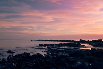IMG_7986-1