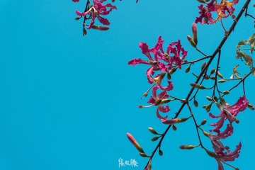 BF6C0BF3-4367-40E5-9396-EF117AB2F8CC/L0/001