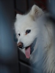 974983