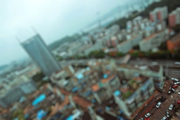 IMG_01154.jpg