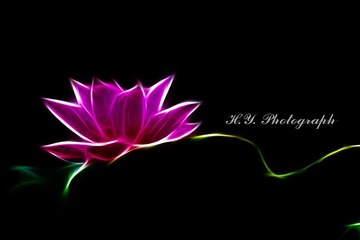 IMG_6209xzh.jpg