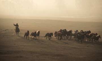 _DSC1126
