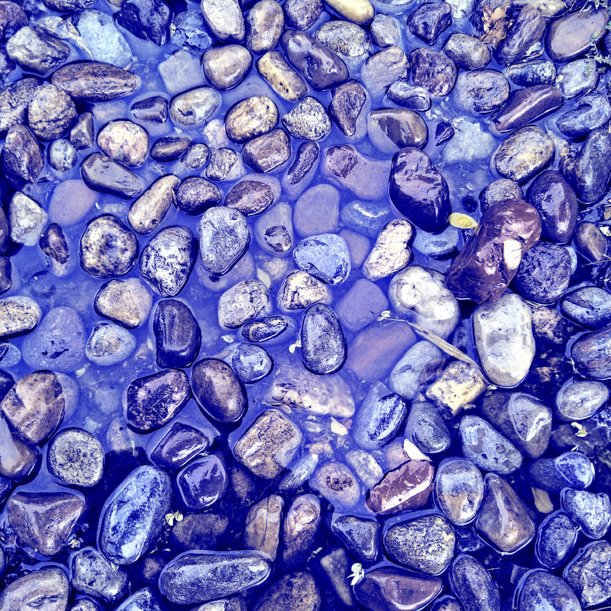 蓝色是最温柔的颜色