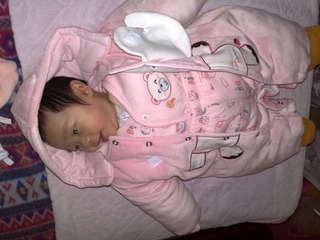20110214006.jpg