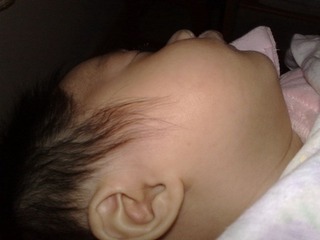 20110214020.jpg