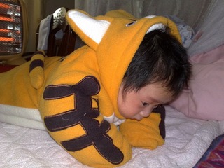 20110220044.jpg