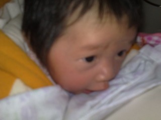 20110221054.jpg