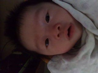 20110222075.jpg