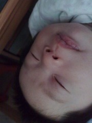 20110223078.jpg