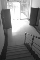 IMAG0668