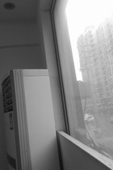 IMAG0878