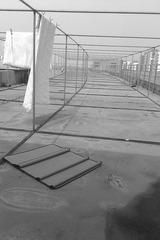 IMAG0961