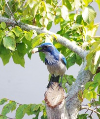 IMGP9237_