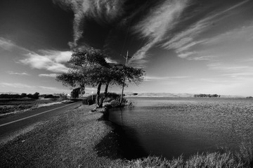 IMGP9420_