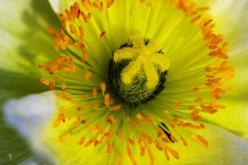 IMGP0994_