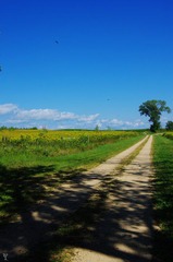 TMGP4678.JPG