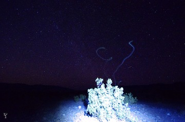 IMGP0971_