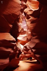 IMGP2486_
