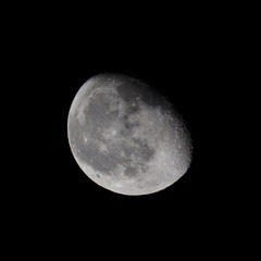 IMG_2369s.JPG