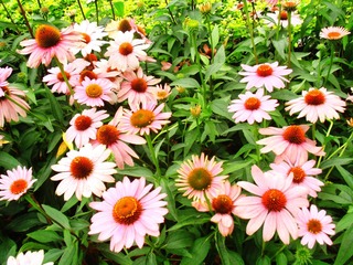 P6176007_副本.JPG