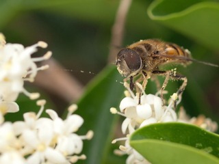 _5030548.jpg