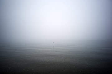 L1007791