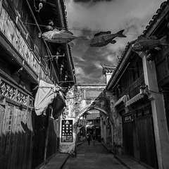 _DSC1484
