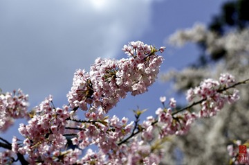 _ZIE8349-2