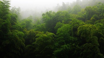 IMGP3047-c.jpg
