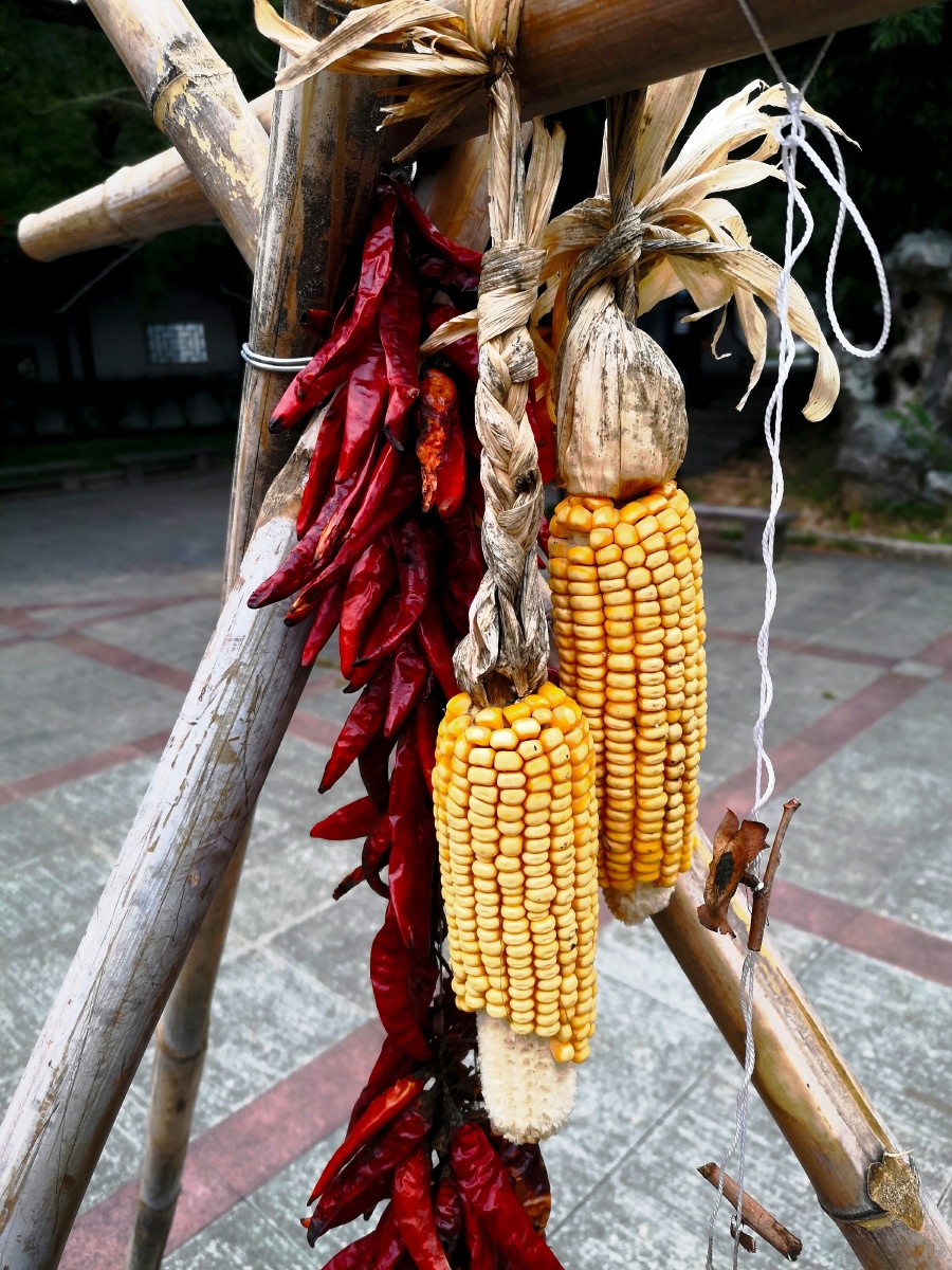 干辣椒和干玉米