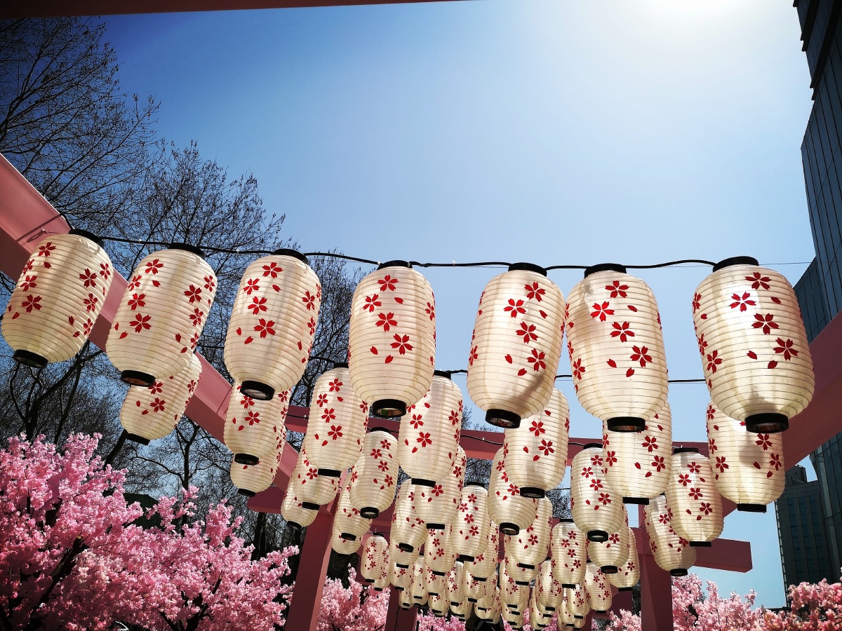 白天米色灯笼