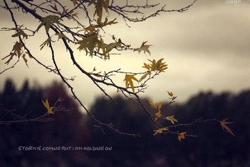 2010, autumn