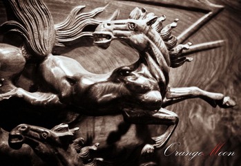 IMG_5466II