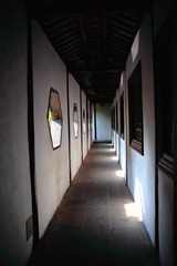 IMG_4488.JPG