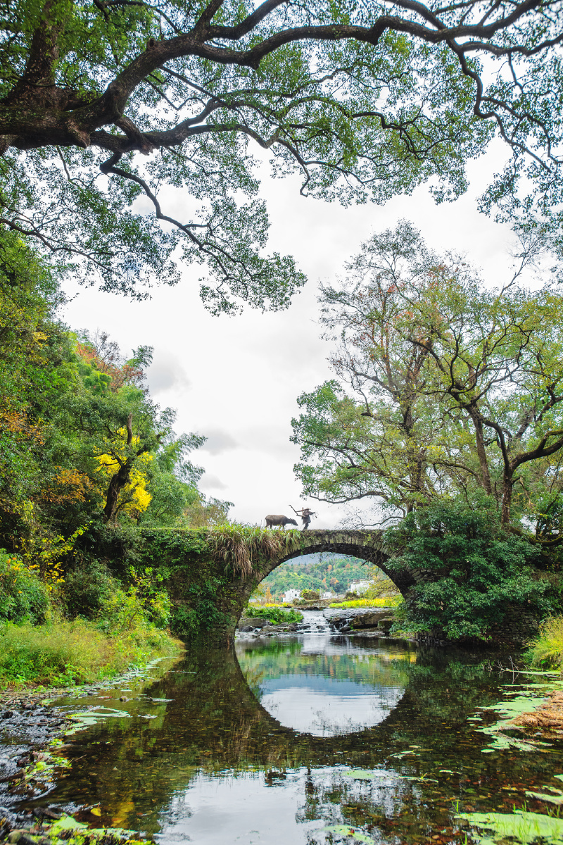 婺源乡村古桥