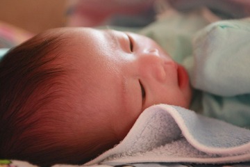 IMG_4036.JPG