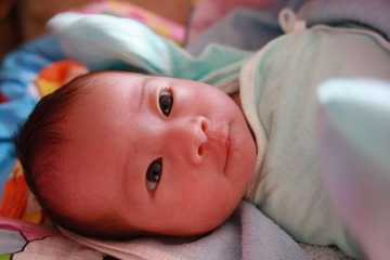 IMG_4068.jpg