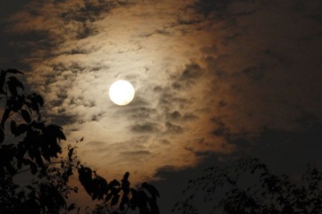 _MG_6613.JPG