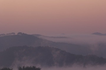 _MG_6984.JPG