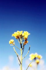 img_0342_