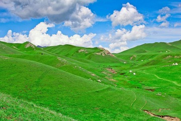 IMG_0239-2