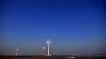DSC_0929.JPG