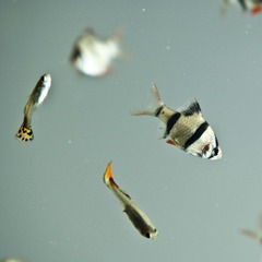 DSC_4013.jpg