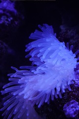 E22B8879-A731-4919-97D3-92BD92D854F9/L0/001
