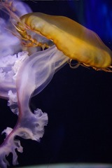 181C63E4-38FB-4F92-9535-A849C75C97CA/L0/001