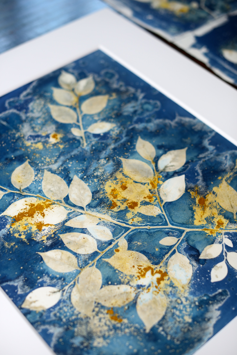 蓝晒湿式物影课程即将上线