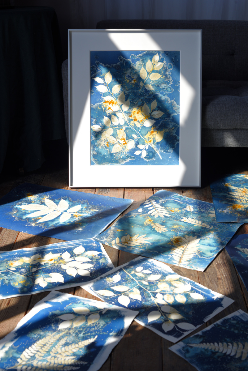 蓝晒湿式物影课程即将上线